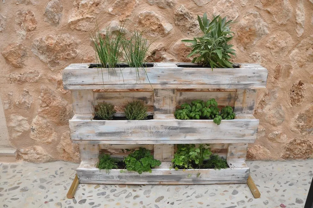 Szálloda Finca Alegria - Agroturismo Son Sampoli Llucmajor